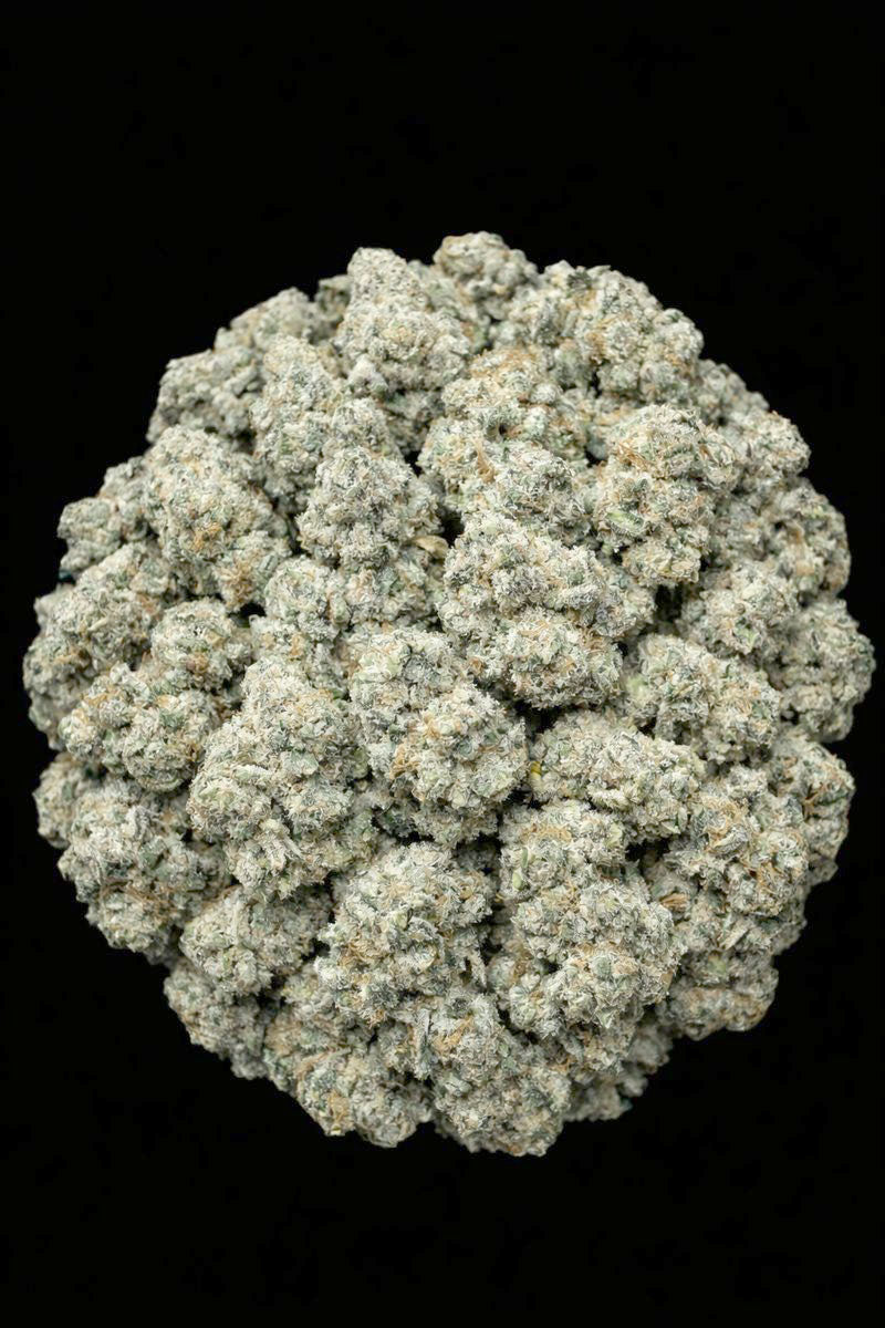 Miracle Alien Cookies