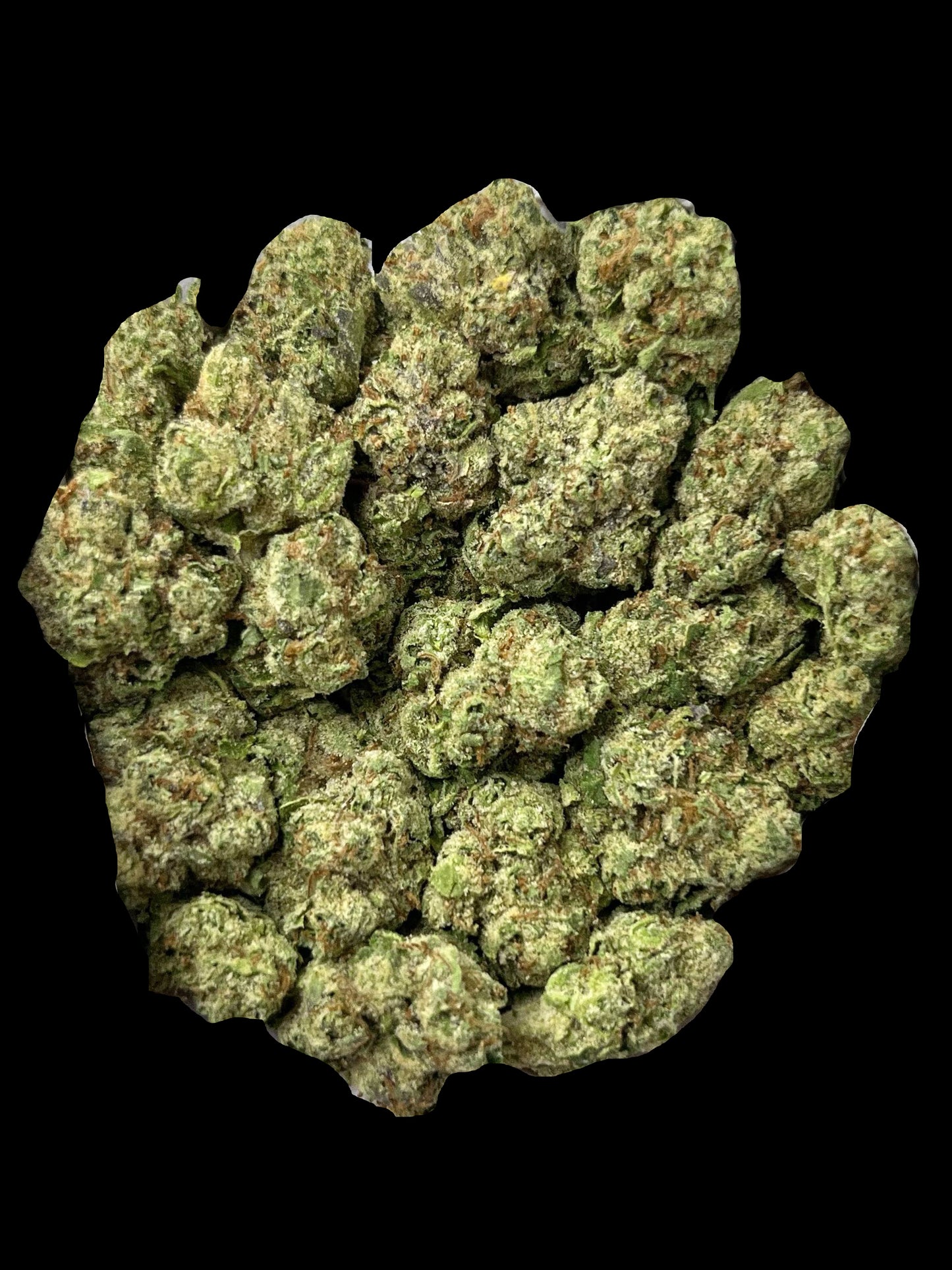 Georgia Pie Skittlez