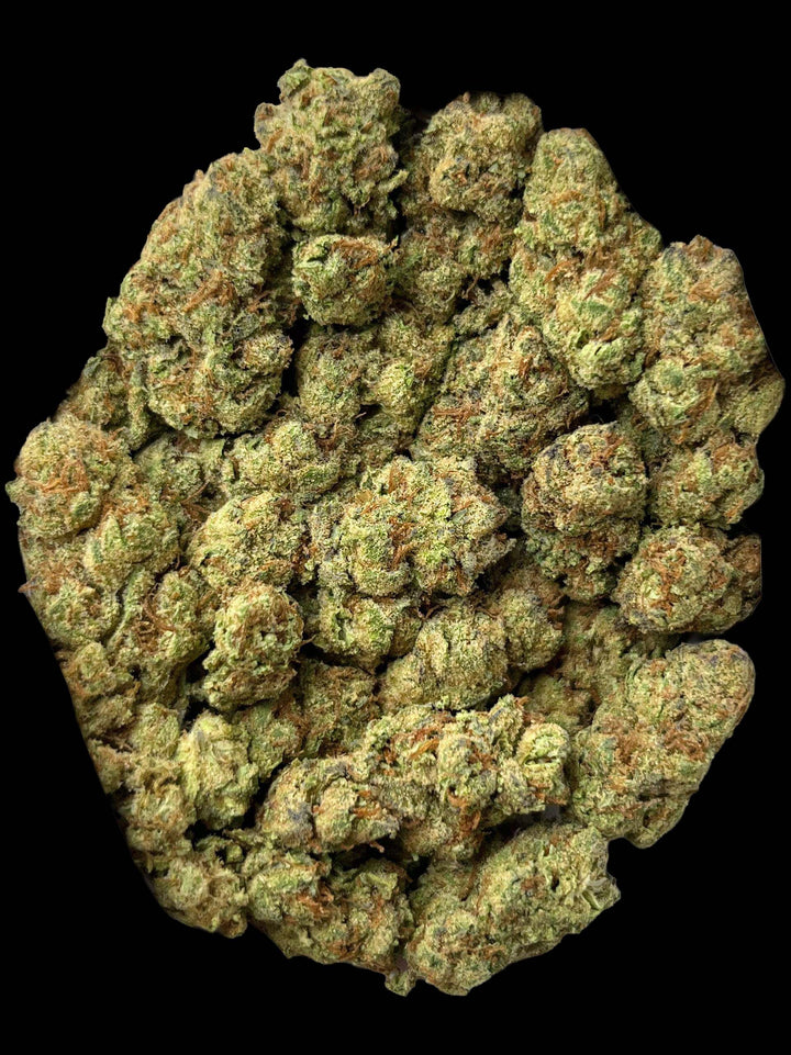 Blue Andeez