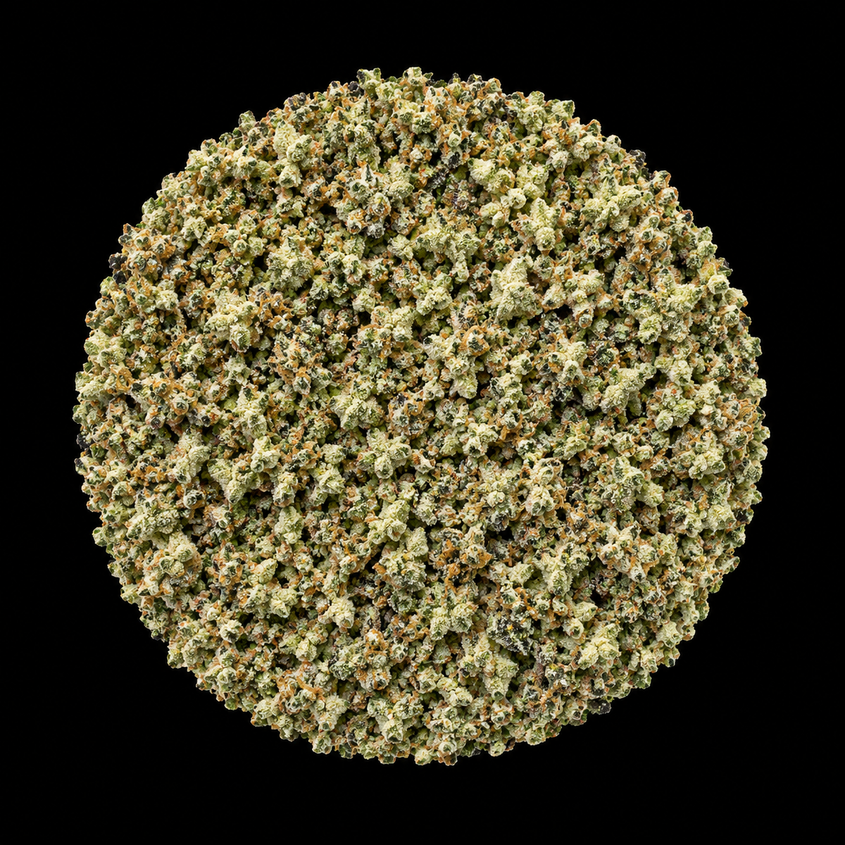 Bubble Mints (RR)
