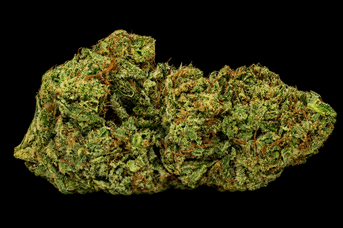 Jack Herrer