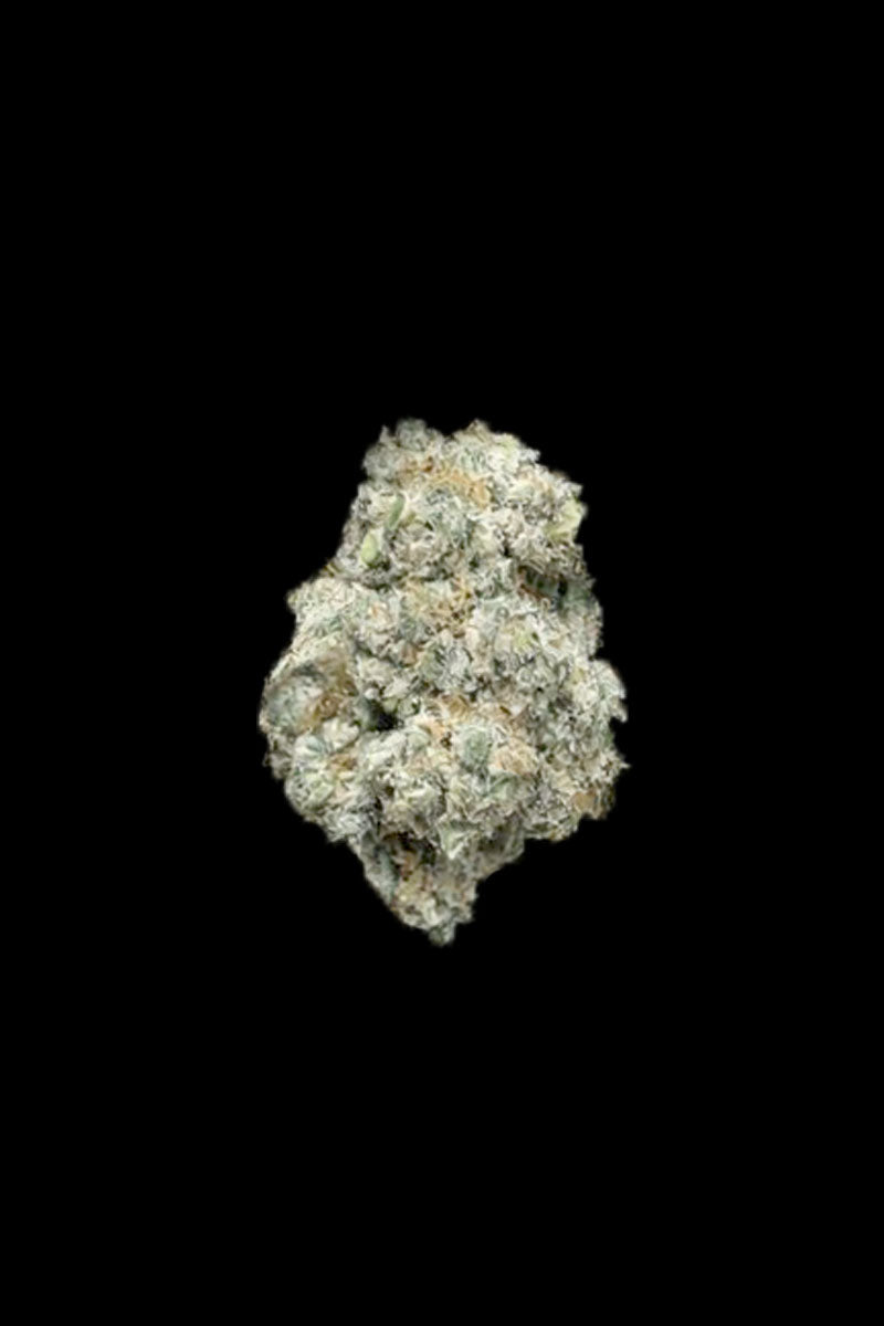 Miracle Alien Cookies