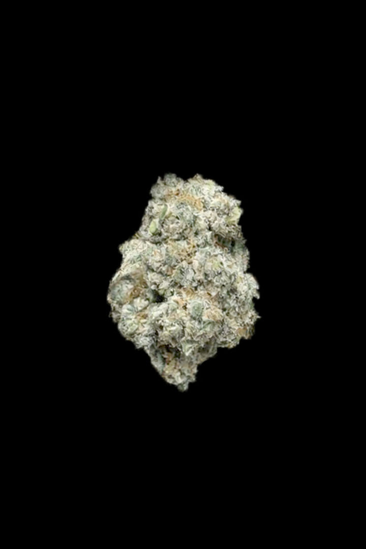 Miracle Alien Cookies