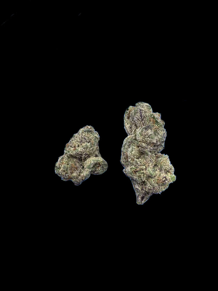 Nolo Gelato