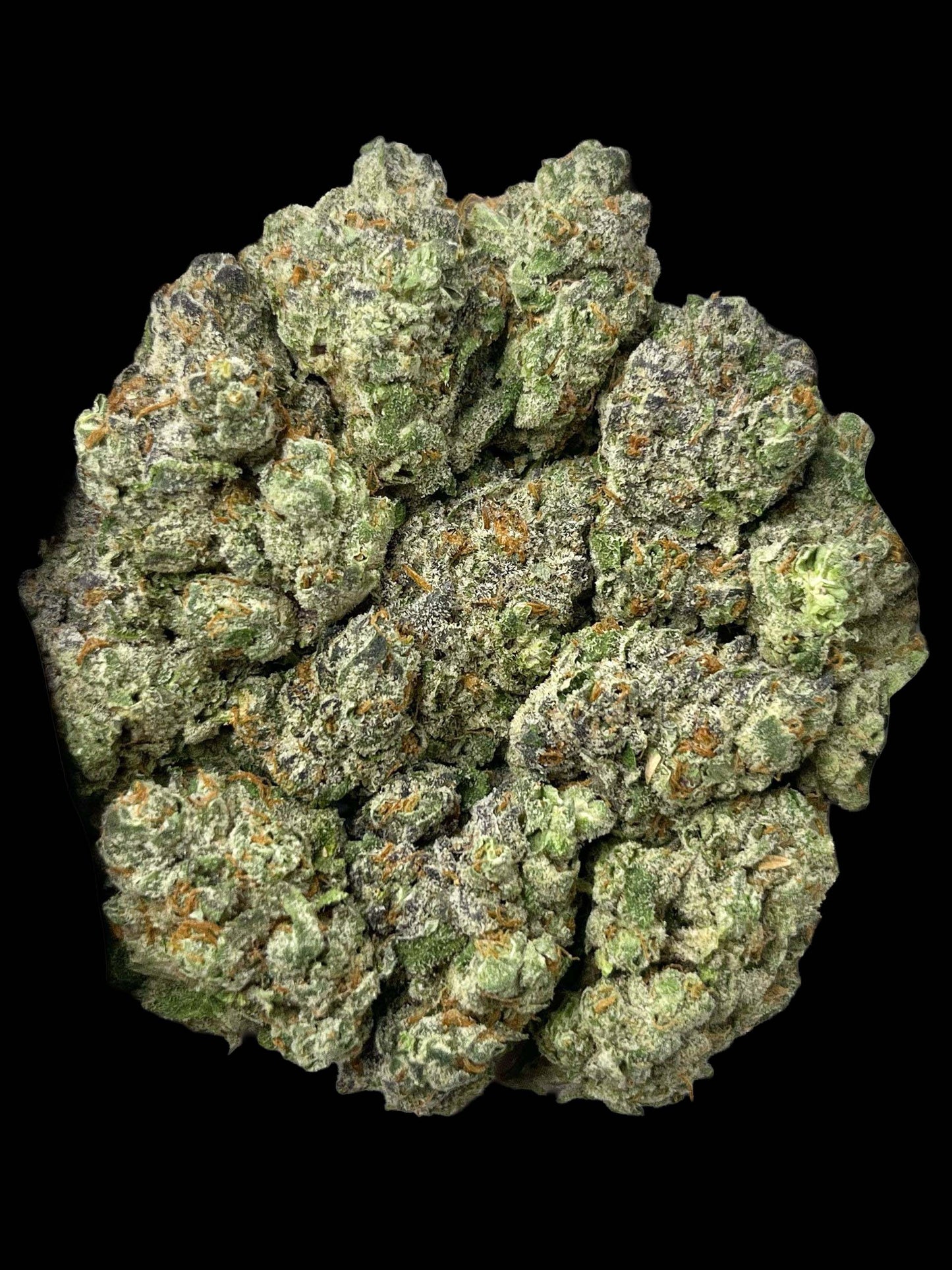 Sensi Star
