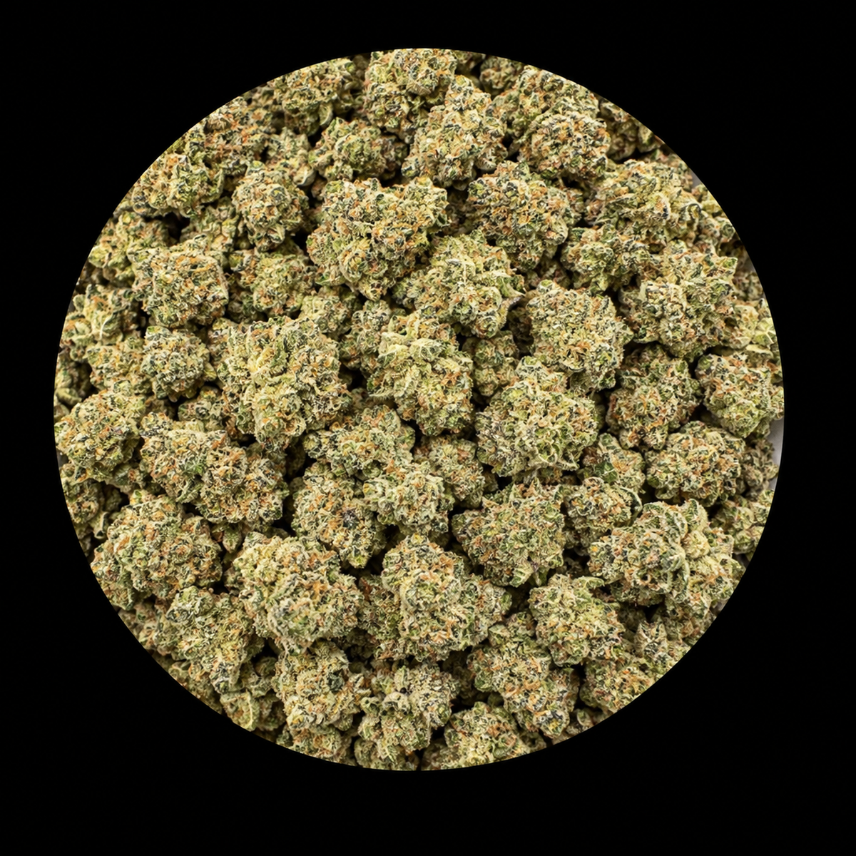 Sherb Cream Pie (Smalls)
